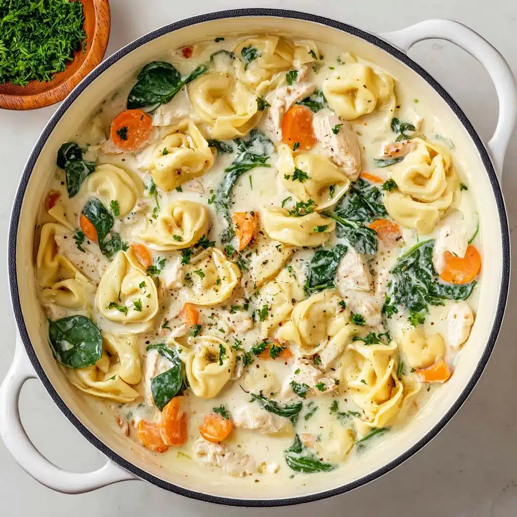 Chicken Tortellini Soup Recipe - Recipe Image