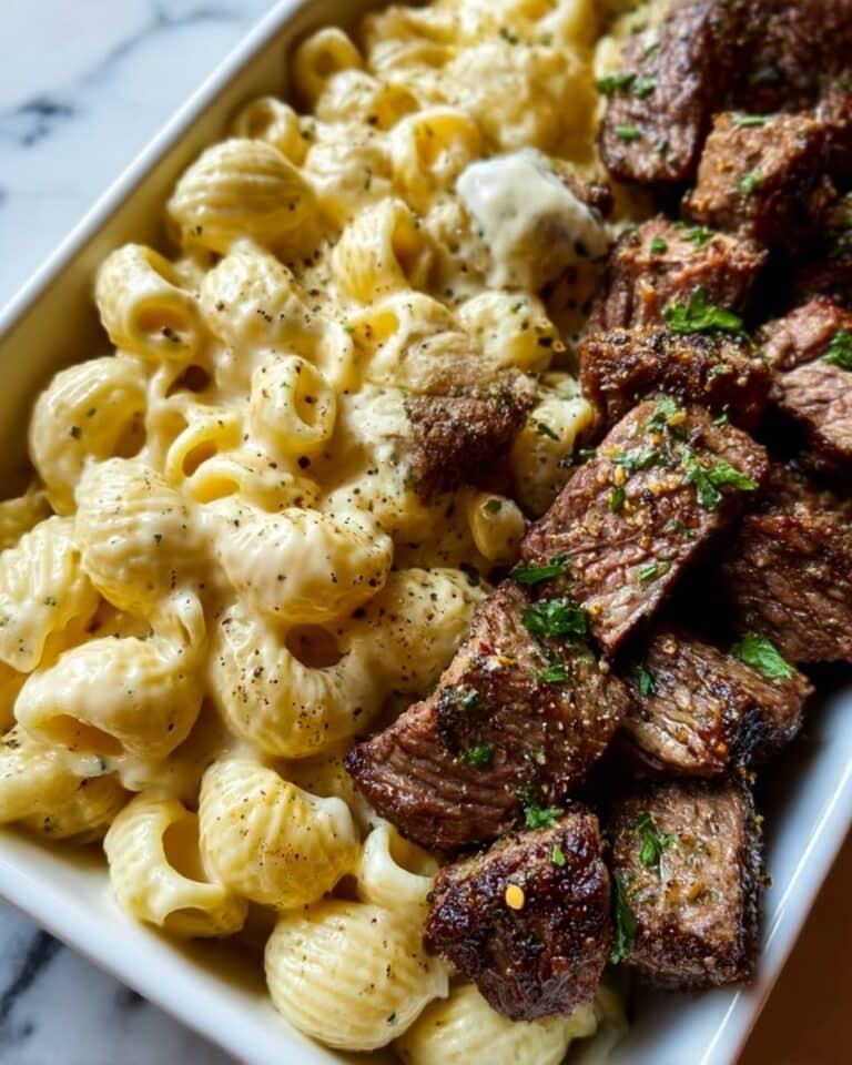 Steak Bites with Shell Pasta in Garlic Butter Alfredo Recipe